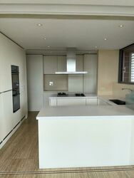 Ardmore Residence (D10), Condominium #470587811